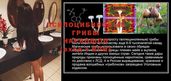 мяу мяу мука Надым