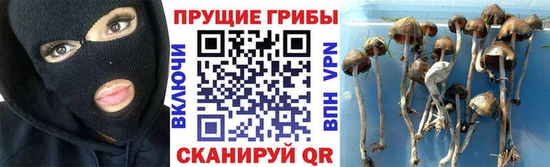 Галлюциногенные грибы Cubensis  Малаховка 